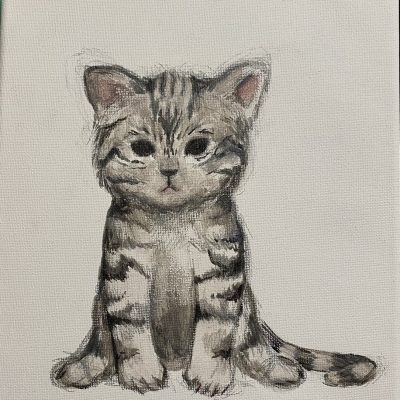 Most Touching: A Cut Litter Cat by Katie Luo