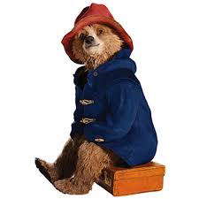 Paddington Bear. Cozy Movie Night.