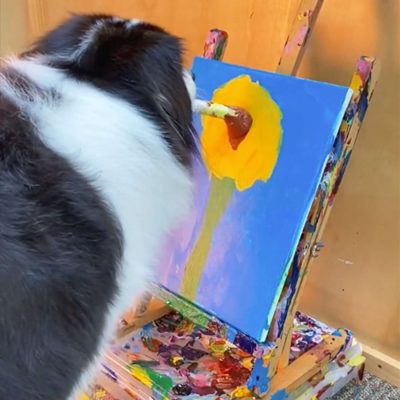 paint animals.