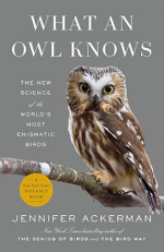 What an Owl Knows by Jennifer Ackerman book cover