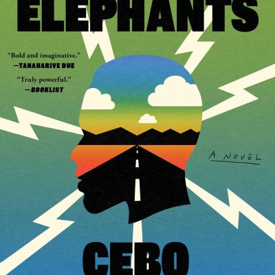 Sky Full of Elephants by Cebo Campbell book cover