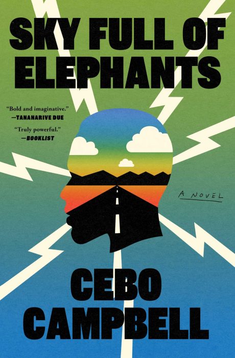 Sky Full of Elephants by Cebo Campbell  book cover