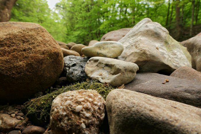 Leslie Nature Center. Rocks and trees in background.
