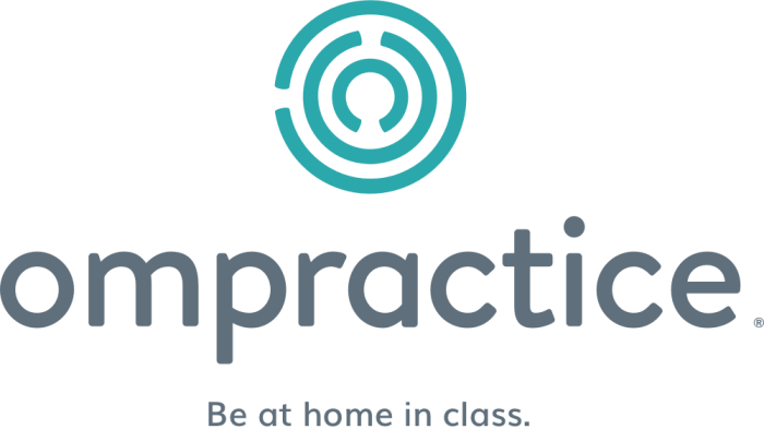 Seated Chair Hatha Yoga with Ompractice.