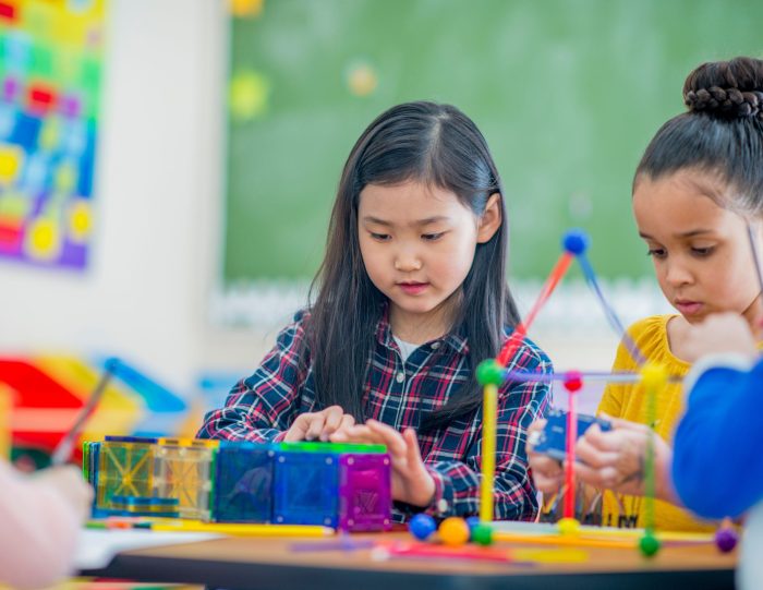 STEAM activities, such as Snap Circuits, marble runs, building projects, and more.