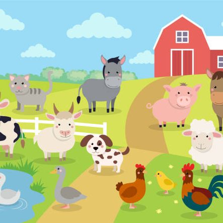 vector illustration design template Farm with farm animals in field.
