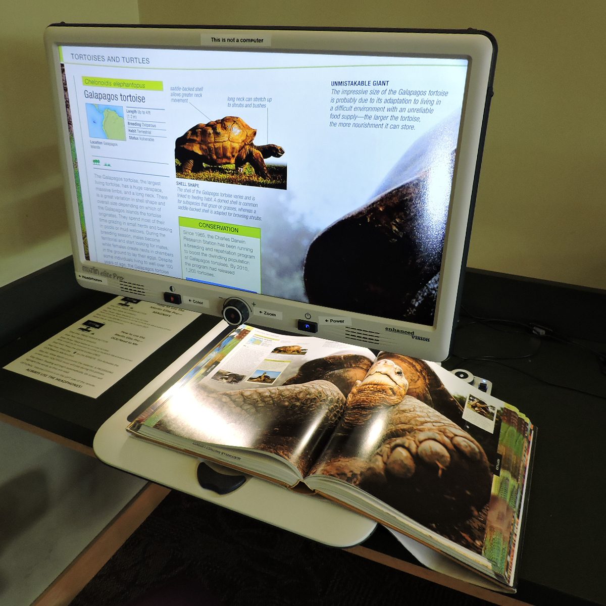 Magnifier Magnifier