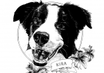 Ramsey Beyer pet portrait Ramsey Beyer pet portrait
